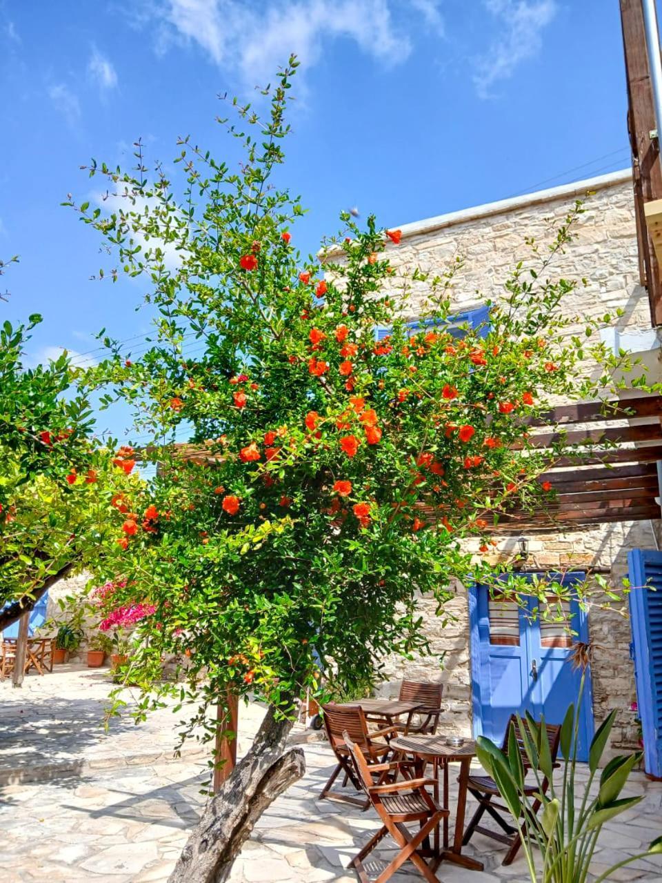 דירות סקארינו Athena'S Pool Oasis מראה חיצוני תמונה