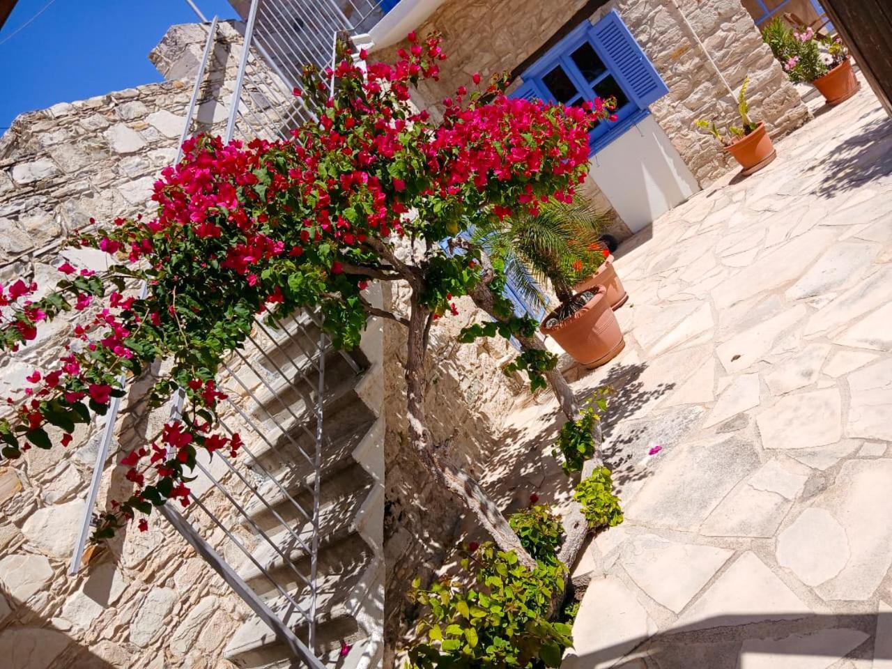 דירות סקארינו Athena'S Pool Oasis מראה חיצוני תמונה